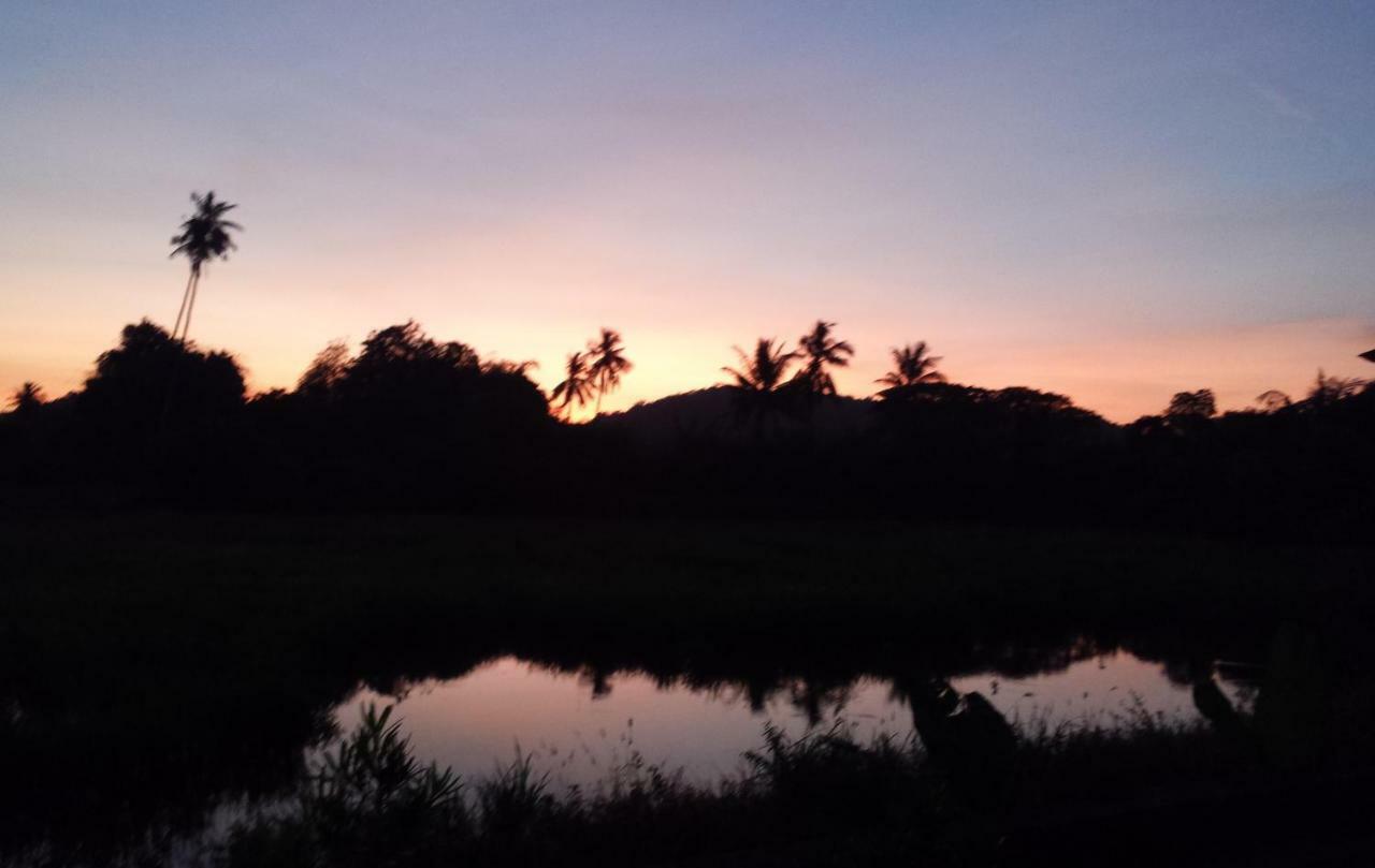 Tanabendang Banglos Pantai Cenang  Dış mekan fotoğraf